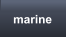 marine