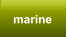 marine