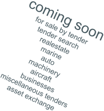 coming soon for sale by tender tender search realestate  marine auto machinery aircraft businesses  miscellaneous tenders asset exchange